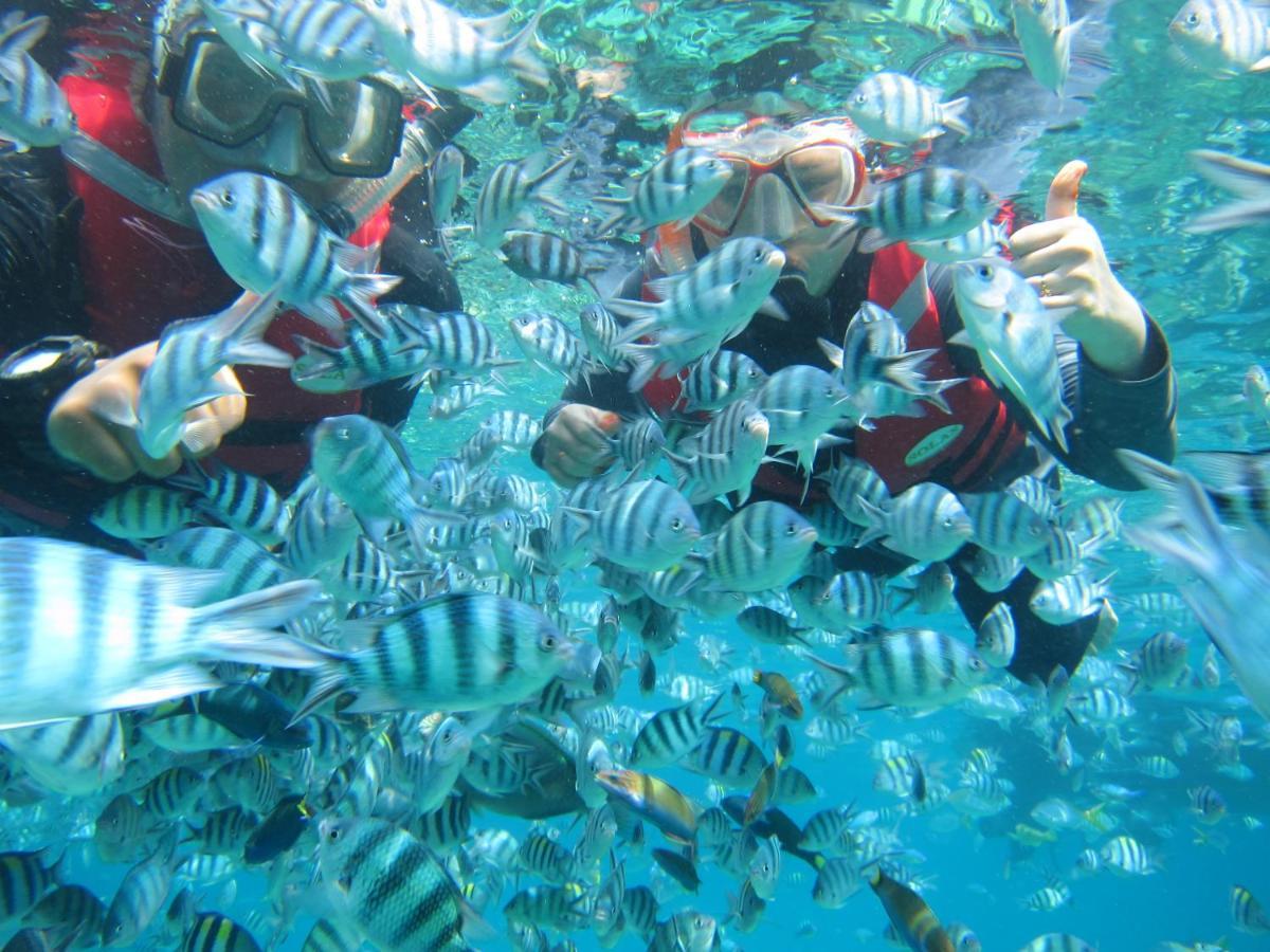 Отель Go Deeper Tioman Экстерьер фото